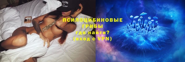 ПСИЛОЦИБИНОВЫЕ ГРИБЫ Богородск
